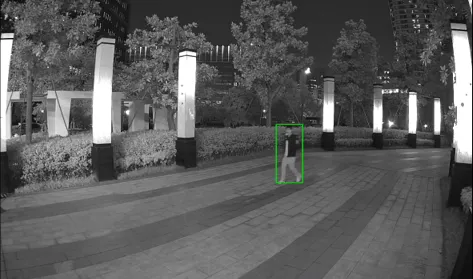 smd_pic2
